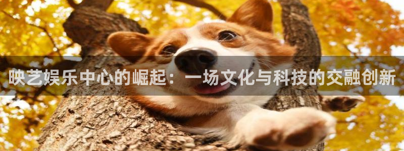 开丰娱乐168：映艺娱乐中心的崛起：一场文化与科技的交融创新