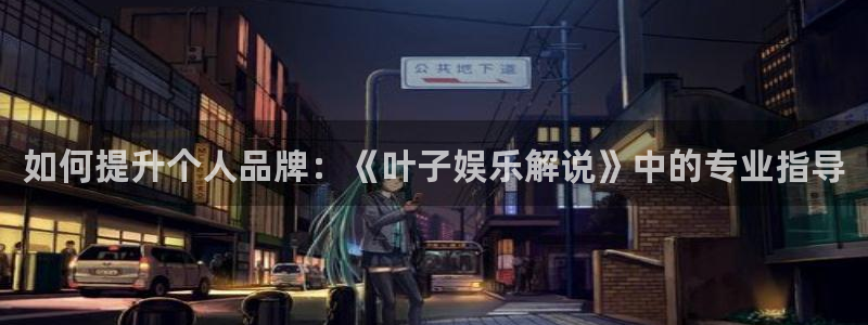 开丰娱乐：如何提升个人品牌：《叶子娱乐解说》中的专业指导