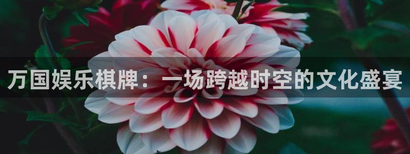 upload/20250701114914.jpg
