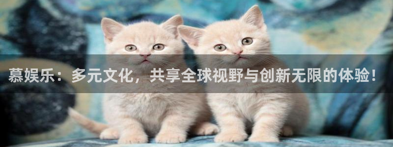 开丰娱乐地址：慕娱乐：多元文化，共享全球视野与创新无限的体验！