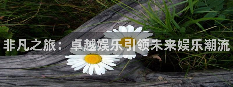 开丰娱乐地址：非凡之旅：卓越娱乐引领未来娱乐潮流