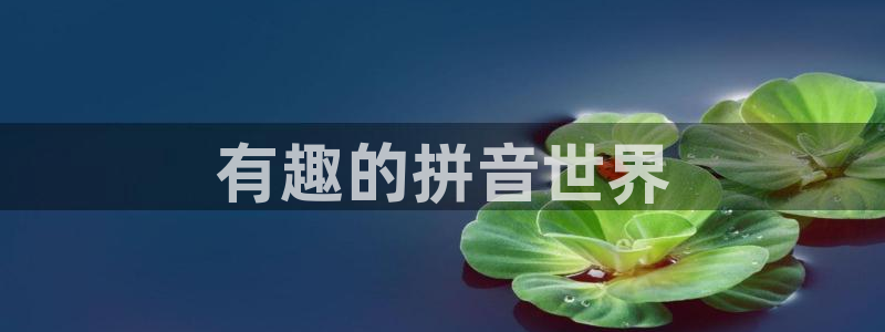开丰娱乐地址：有趣的拼音世界