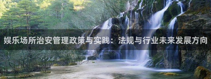 开丰娱乐168：娱乐场所治安管理政策与实践：法规与行业未来发展方向